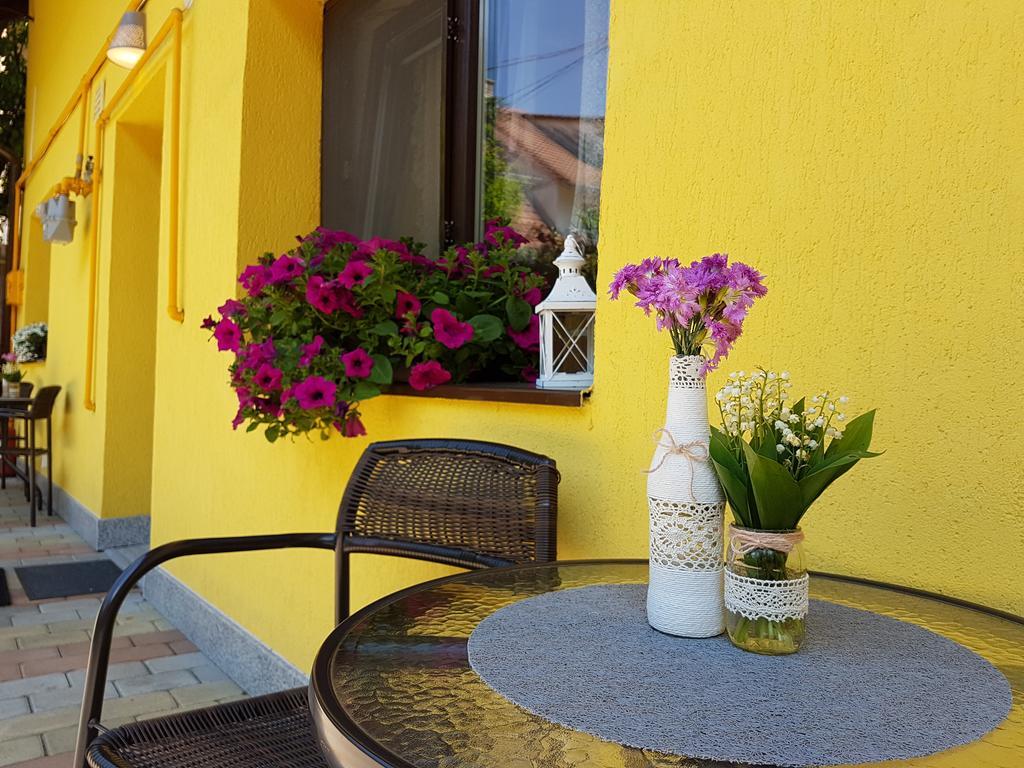 House Apartment Minerilor Kluż-Napoka Zewnętrze zdjęcie