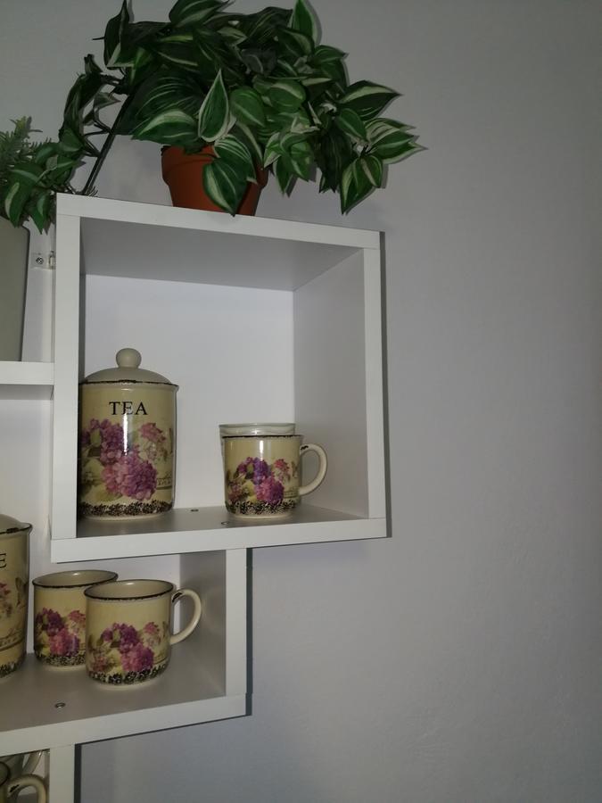 House Apartment Minerilor Kluż-Napoka Zewnętrze zdjęcie