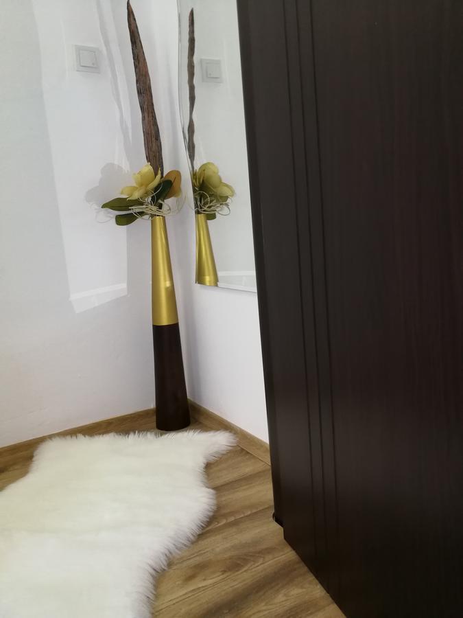 House Apartment Minerilor Kluż-Napoka Zewnętrze zdjęcie