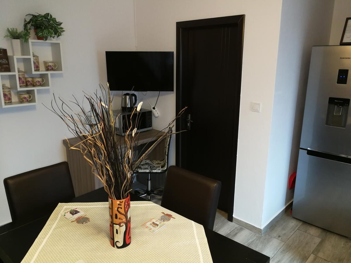 House Apartment Minerilor Kluż-Napoka Zewnętrze zdjęcie