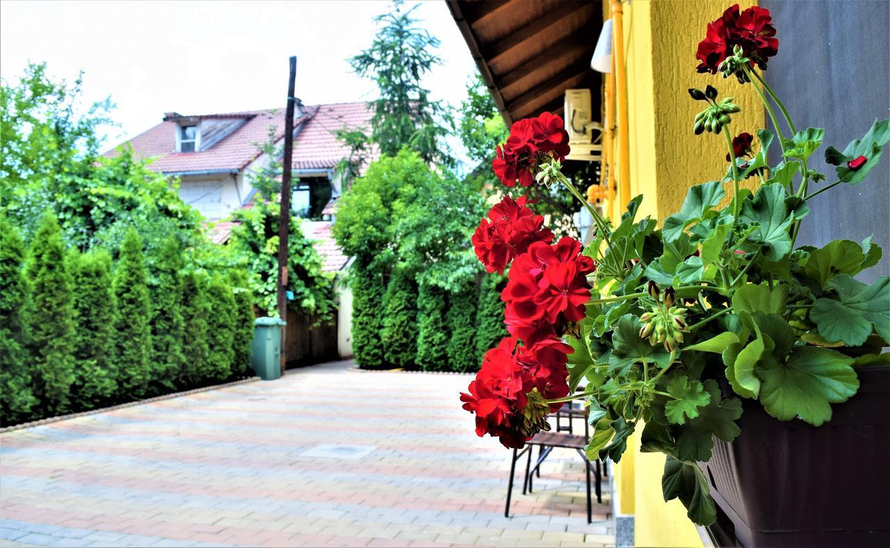 House Apartment Minerilor Kluż-Napoka Zewnętrze zdjęcie